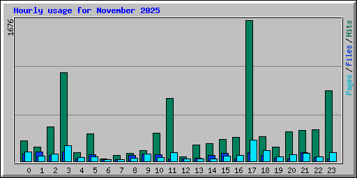 Hourly usage for November 2025
