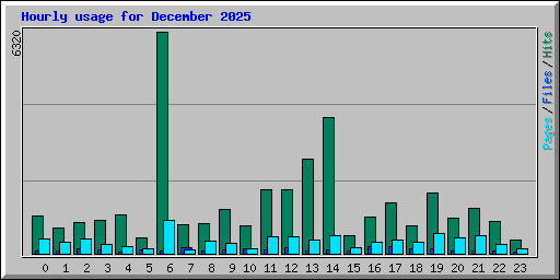 Hourly usage for December 2025