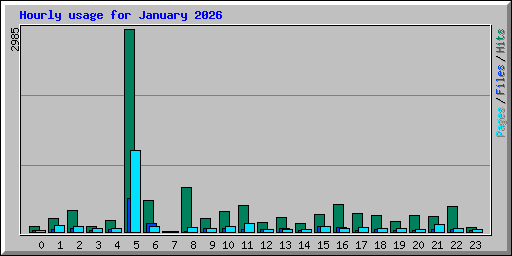 Hourly usage for January 2026