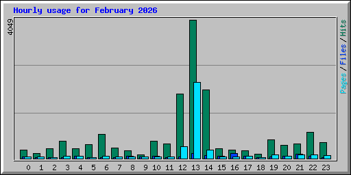Hourly usage for February 2026