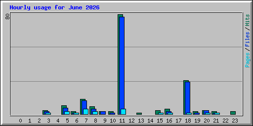 Hourly usage for June 2026