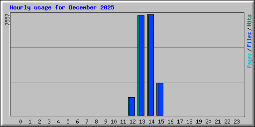 Hourly usage for December 2025